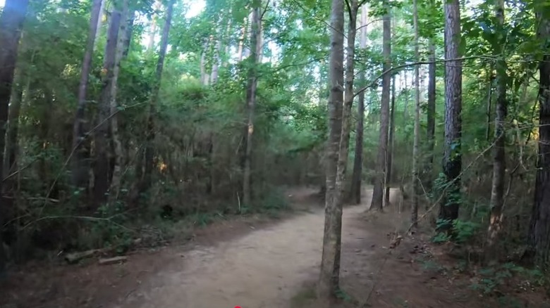 Twelve Mile Creek Trail near Waxhaw, North Carolina