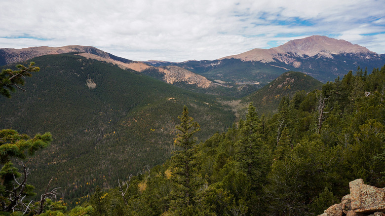 The flatter summit of Almagre Mountain next to the rugged ridge of Pikes Peak