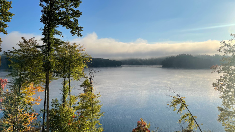 Lake Glenville, North Carolina, with skinny trees in the foreground