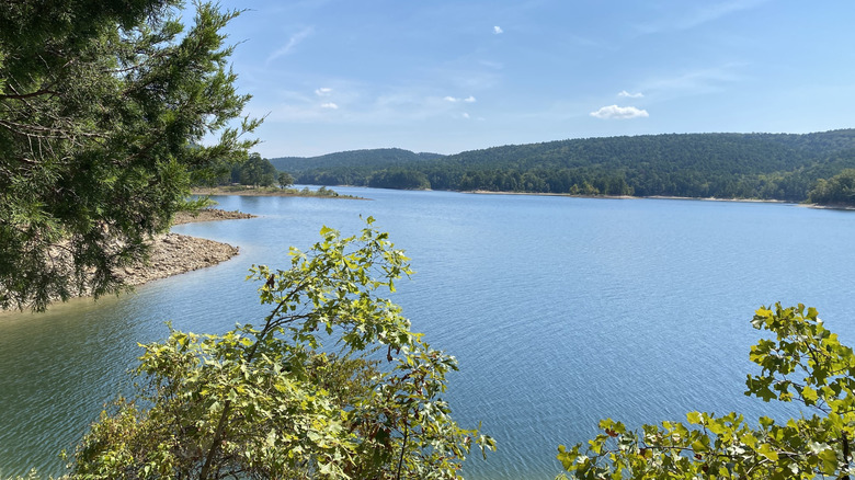 Lake Ouachita in Arkansas, with the leaves of trees in the foreground