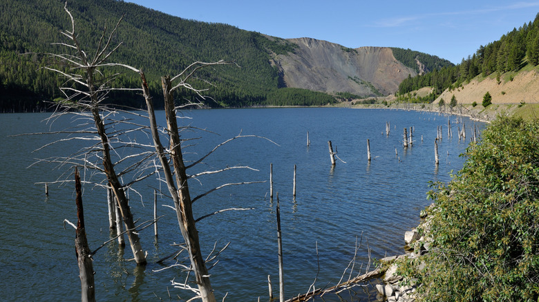 Dead tree trunks jutting out of the lake surrounded by mountains at Earthquake Lake in Montana