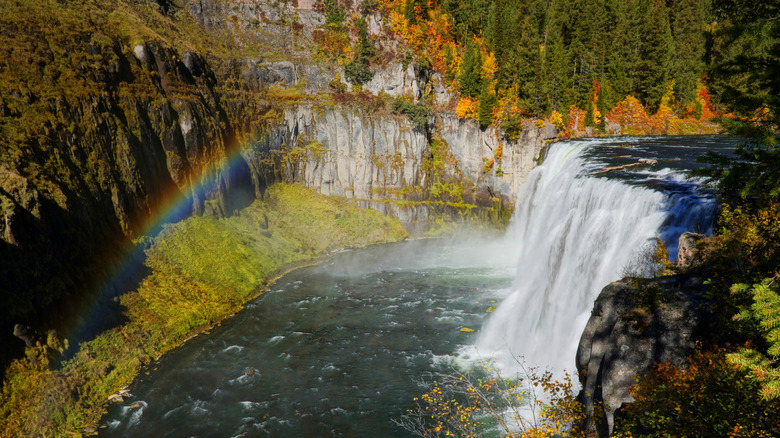 A rainbow showing by the Upper Mesa Falls in Idaho against forested cliffsides in the fall