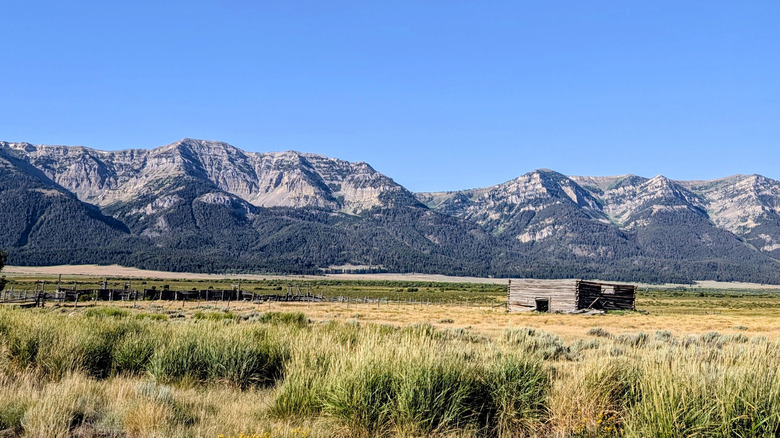 Wood cabin standing on a field against a mountains at Red Rock Lakes National Wildlife Refuge, Montana