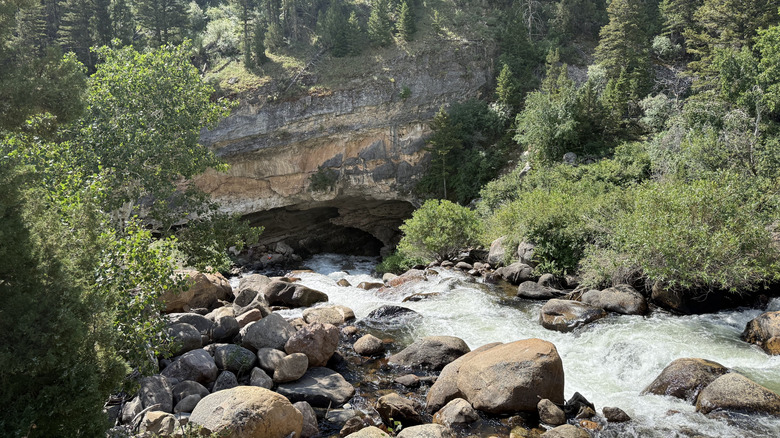 A surging river disappearing into a cave surrounded by trees and rocks at Sinks Canyon State Park Wyoming