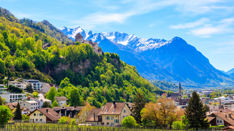Castle on hill above city, surrounded by trees and mountains