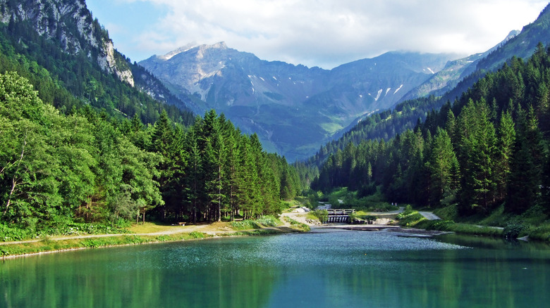 Lake surrounded by trees with mountains in back