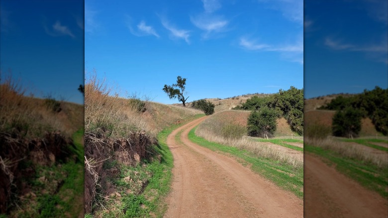 Limestone Canyon Nature Preserve in Silverado, CA