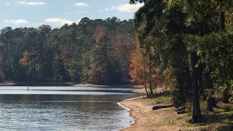 Water and trees in Elijah Clark State Park