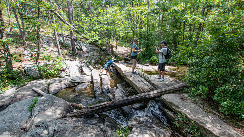 A family with a small child inside a dense forest near Lineville, Alabama, surrounded by rock outcroppings and a waterfall.