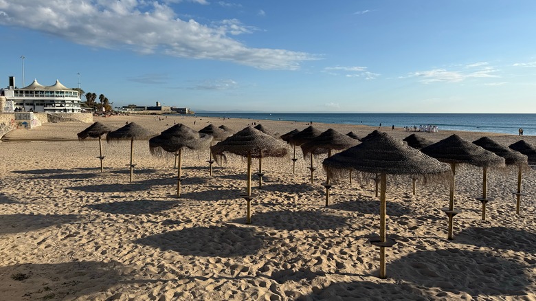 Straw parasols on sand, Carcavelos beach, Portugal