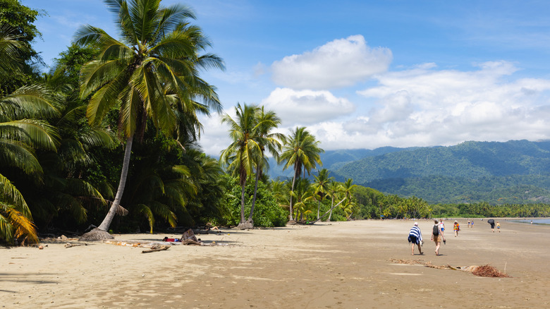 beach in Uvita Costa Rica