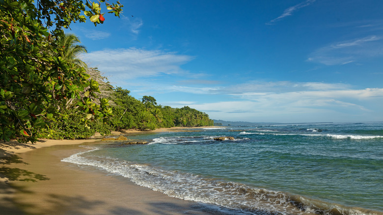 Playa Chiquita in Costa Rica