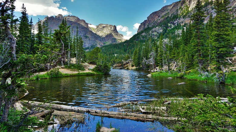 Natural beauty of a park