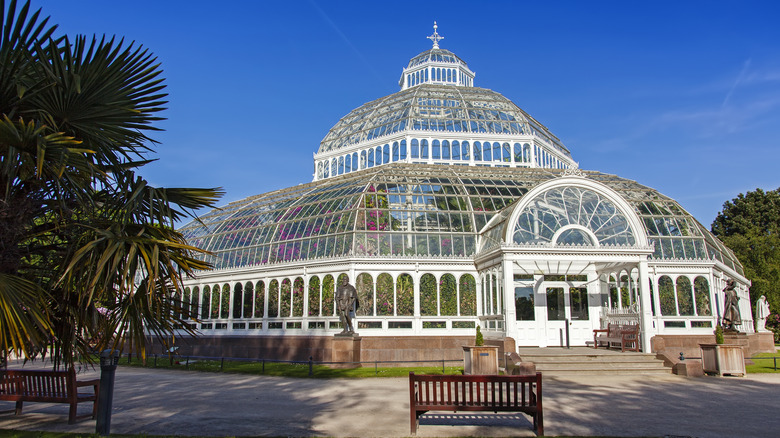 The Palm House in Sefton Park