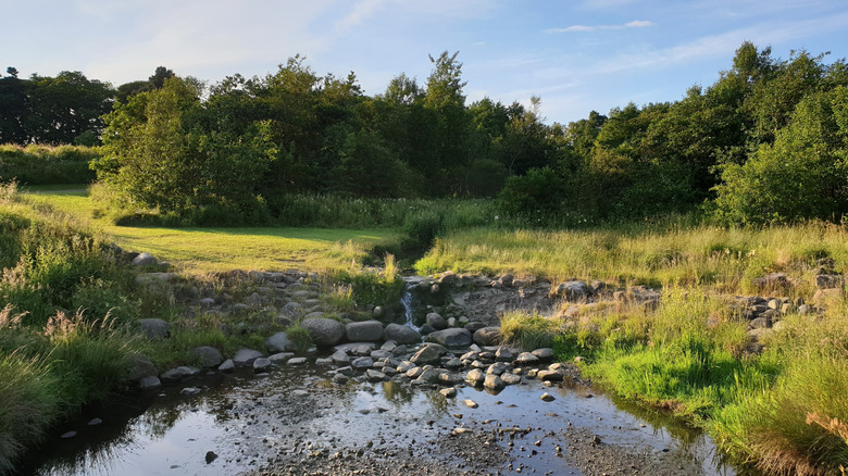 The rushing River Almond surrounded by lush fall foliage partially shrouded in shadow on a bright day in Almondvale Park in Livingston, Scotland