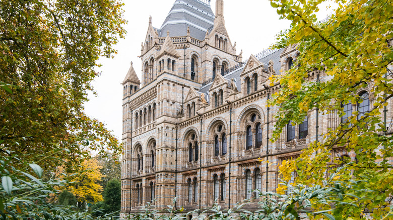 The exterior of the Natural History Museum in London surrounded by trees