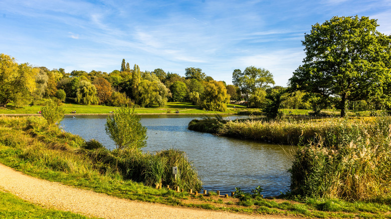 Green lawns and trees surround the ponds of Hamptstead Heath, London