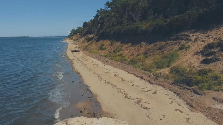 blue water next to sand and green trees beach