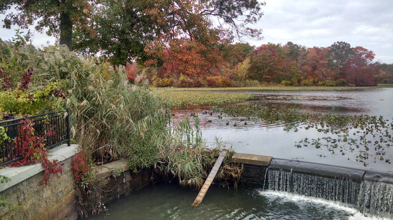 Autumn landscape at Mill Pond in Bellmore