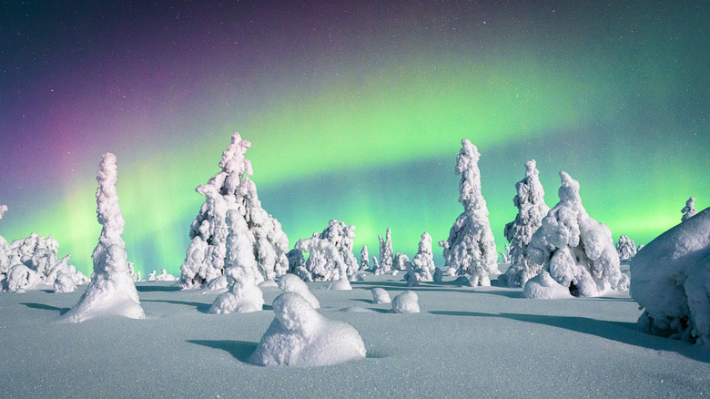 Northern Lights in Finland