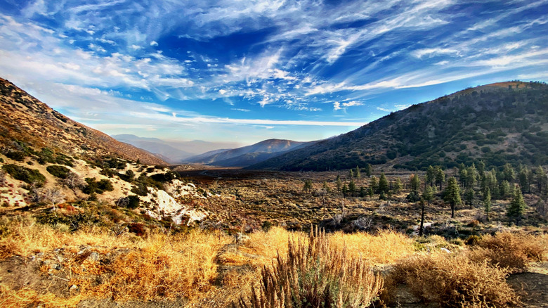 A mountain landscape near Wrightwood, California
