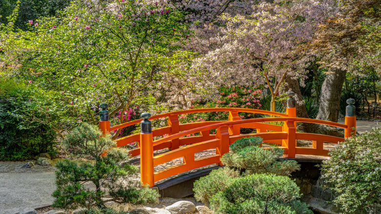 bridge in Descanso Gardens
