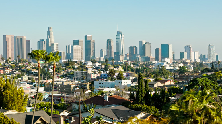 Los Angeles skyline with trees in foreground