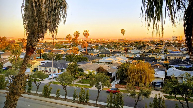 A view of Hawthorne, with residential houses and palm trees stretching into the distance
