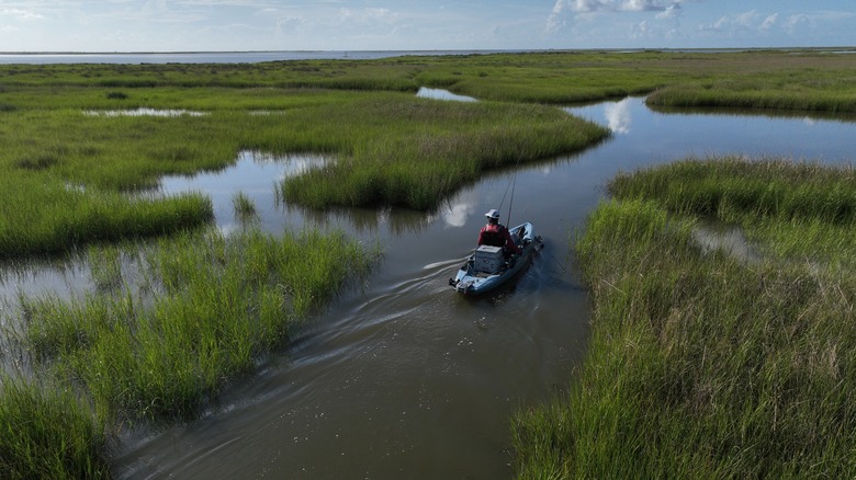 A boat gliding in a watery marsh