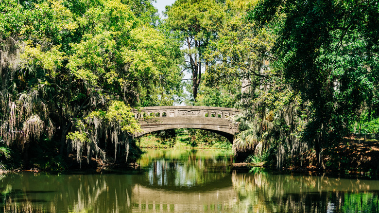 bridge in City Park, New Orleans