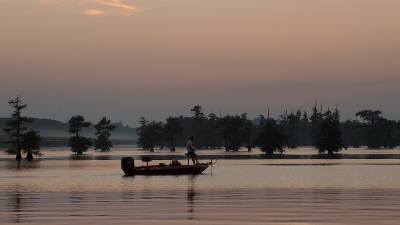 Fishing boat on the water during the early morning hours on Louisiana's Lake Bistineau State Park.