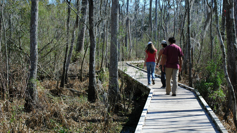 trail with boardwalk at fairview-riverside state park