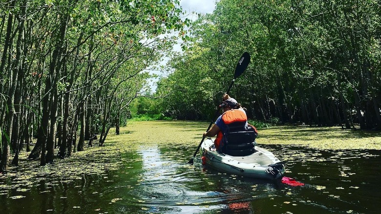 Paddling Vermillion River at Palmetto Island State Park