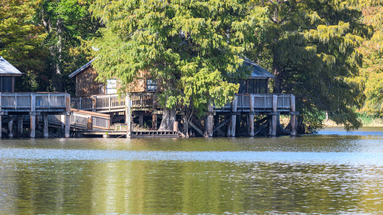 Cabins over the water at Lake Fausse Pointe Park