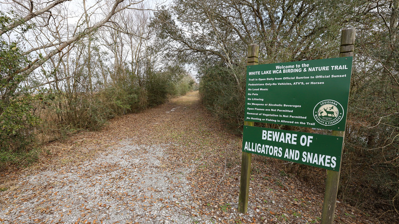 Entrance to White Lake Wetlands Conservation Area in Louisiana