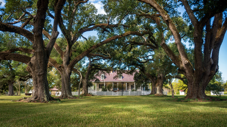 Oakland Plantation near Natchitoches, Louisiana