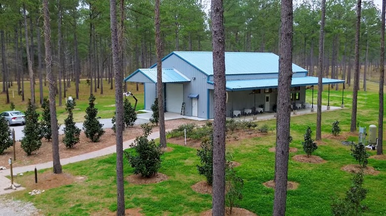 A blue house surrounded by pine trees at Fleur de Lis Tea Co. in Louisiana