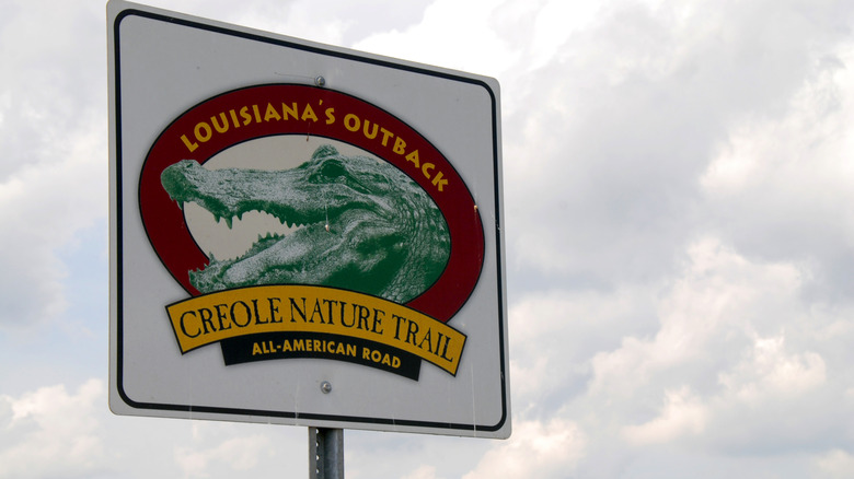 Louisiana swamps are all throughout the Creole Nature Trail