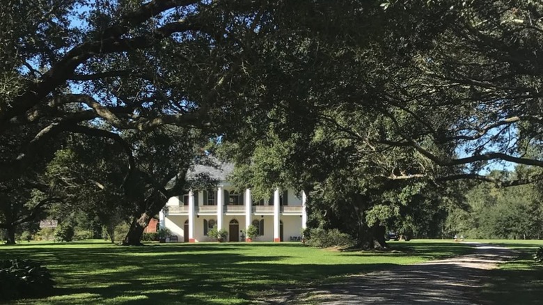 Chretien Point Plantation in Sunset, Louisiana