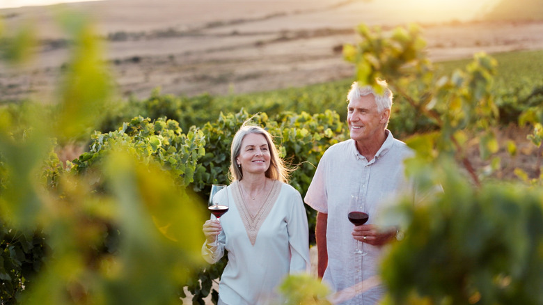 Senior couple with wine in vineyard