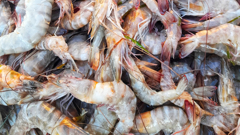 A pile of fresh Gulf shrimp
