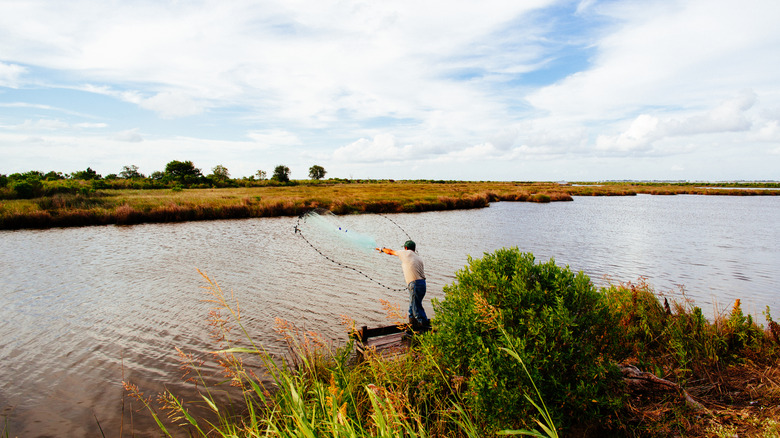 Fisher on shore throwing a net into the water to catch bait near Grand Isle, Louisiana