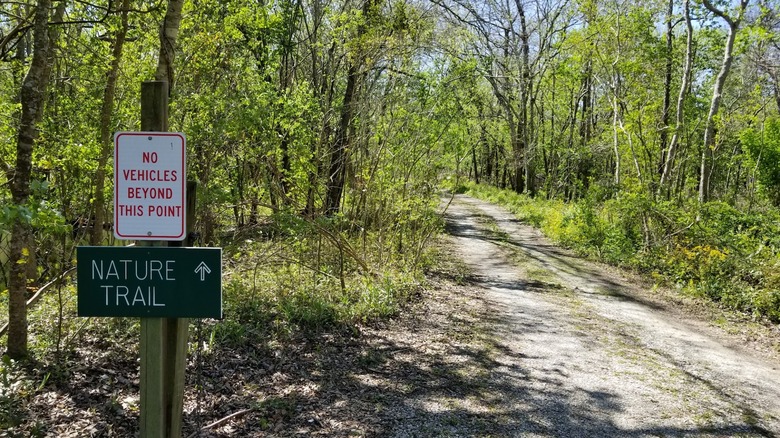 Nature Trail in St. Bernard State Park