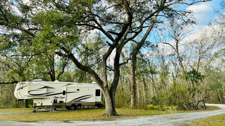 Tent in St. Bernard State Park