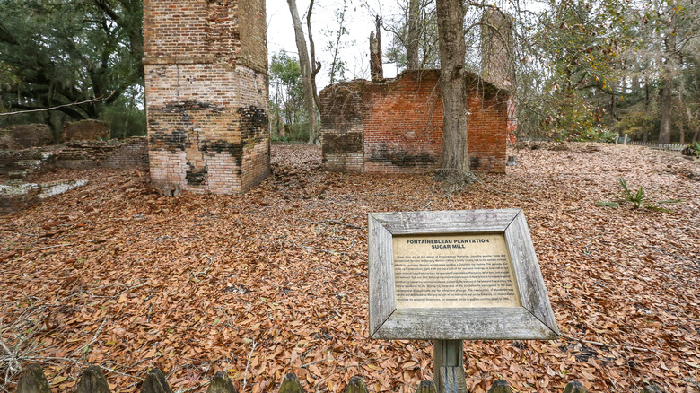Ruins at Fountainebleau State Park