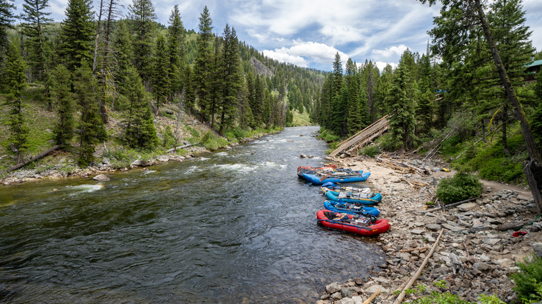 White water rafts on the Salmon River