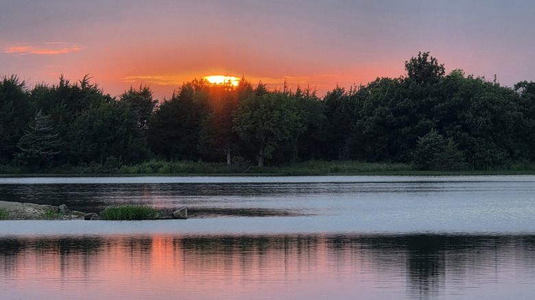 The sun setting behind the tree line of Lyon State Fishing Lake