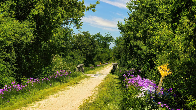 The Glacial Drumlin State Trail in Wisconsin