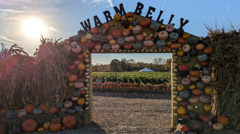 Gate at Warm Belly Farms, Cottage Grove, Wisconsin