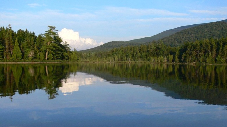 Pine trees and a hill reflected in the blue water of Moosehead Lake